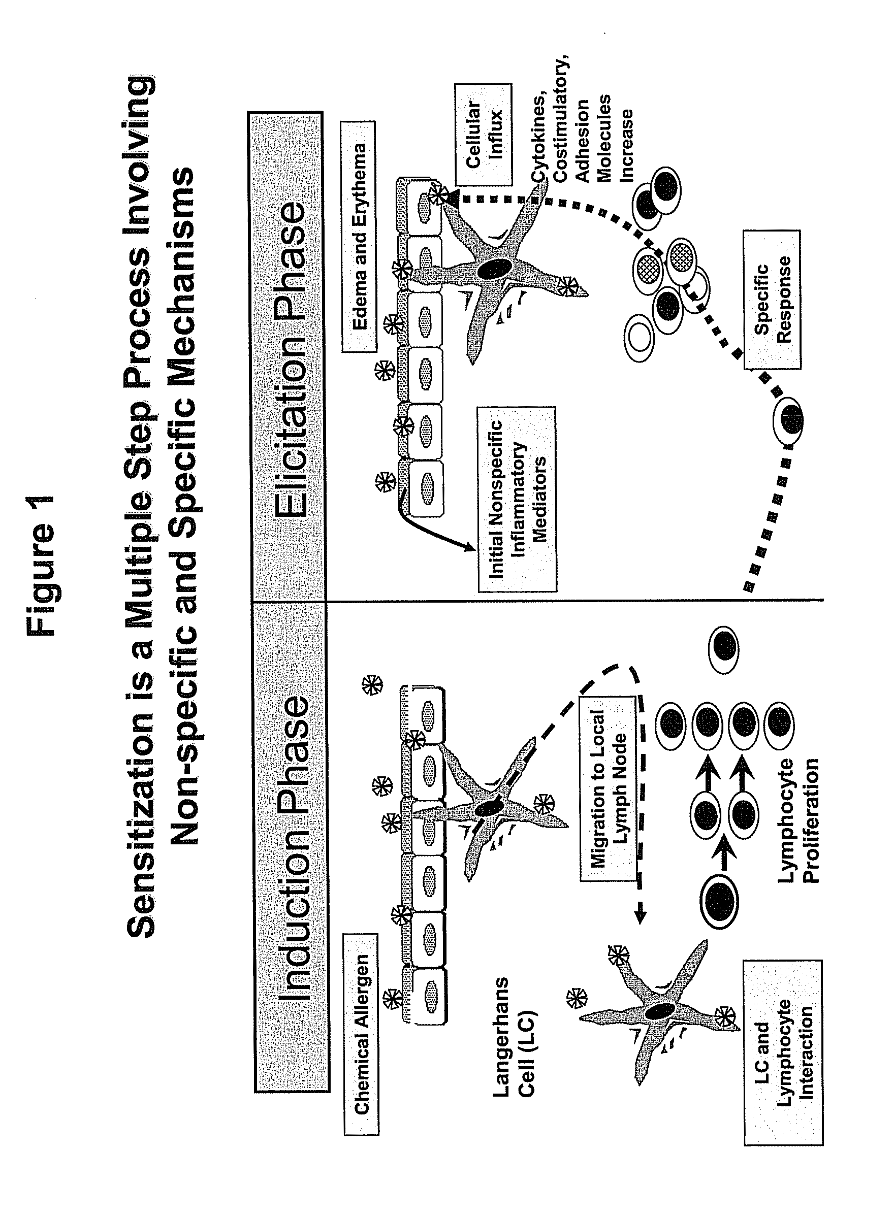 Method for Predicting Skin Sensitizing Activity of Compounds