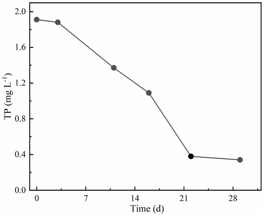 Phosphorus control and oxygen slow release integrated treatment agent and preparation and application thereof