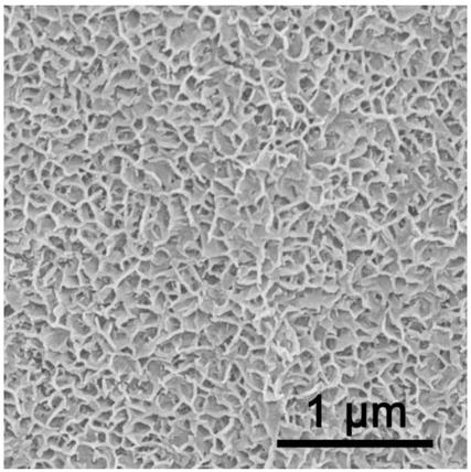 A monolithic porous dual-effect non-noble metal catalyst for water full-electrolysis and a synthetic method