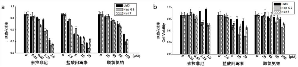 Method for screening characteristic molecules related to drug sensitivity, detecting drug sensitivity degree and detecting cell subtype