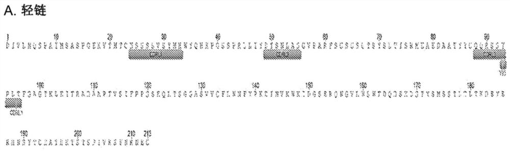 Anti-thyroid hormone (T4) recombinant antibody or antigen binding fragment