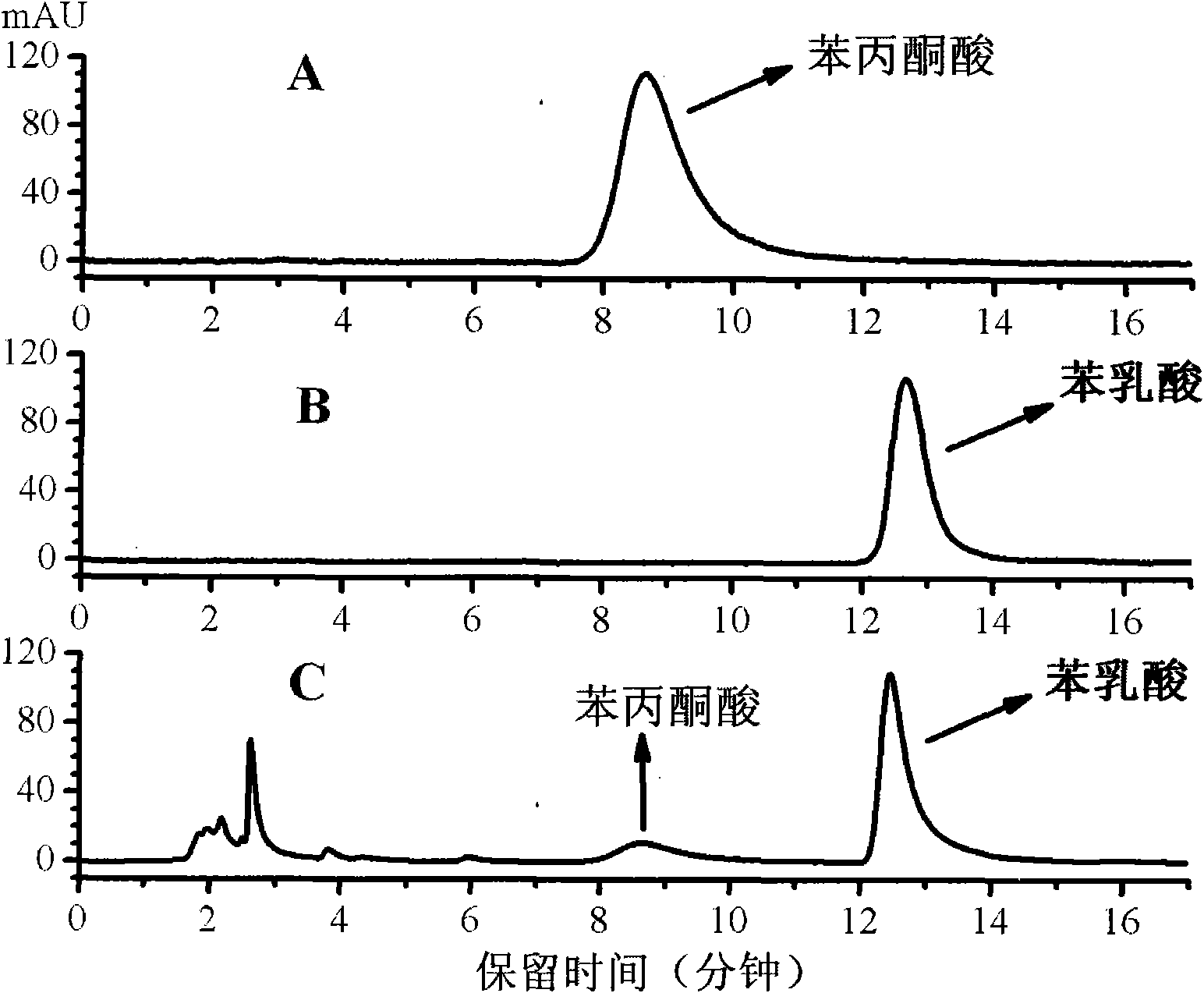 Heat-resistant bacillus and application thereof in preparing phenyl lactic acid