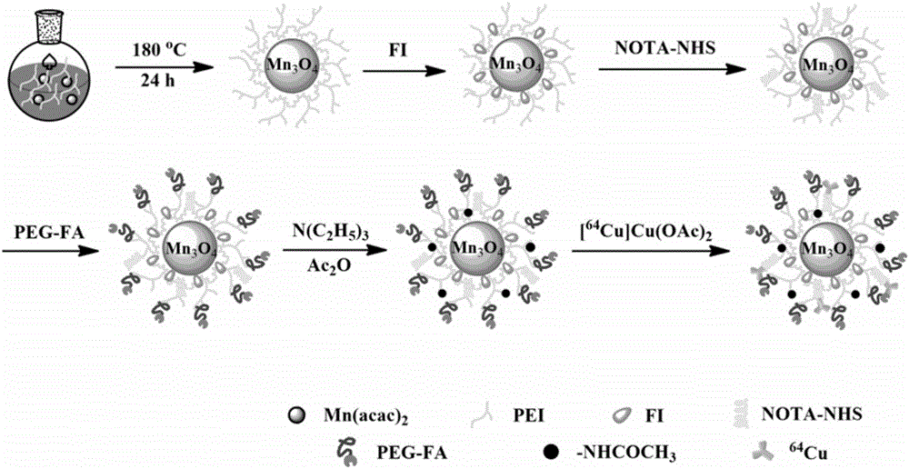Method for preparing 64 Cu marked and folic acid targeted functional trimanganese tetroxide nano-particles with stable polyethyleneimine