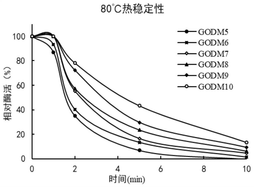 Glucose oxidase mutant GOD with improved thermal stability, and gene and application thereof