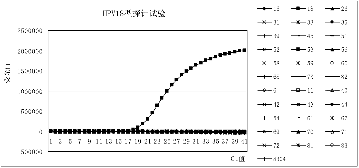 Primer, probe and kit for fluorescence PCR (Polymerase Chain Reaction) detection of 18 high-risk human papilloma viruses