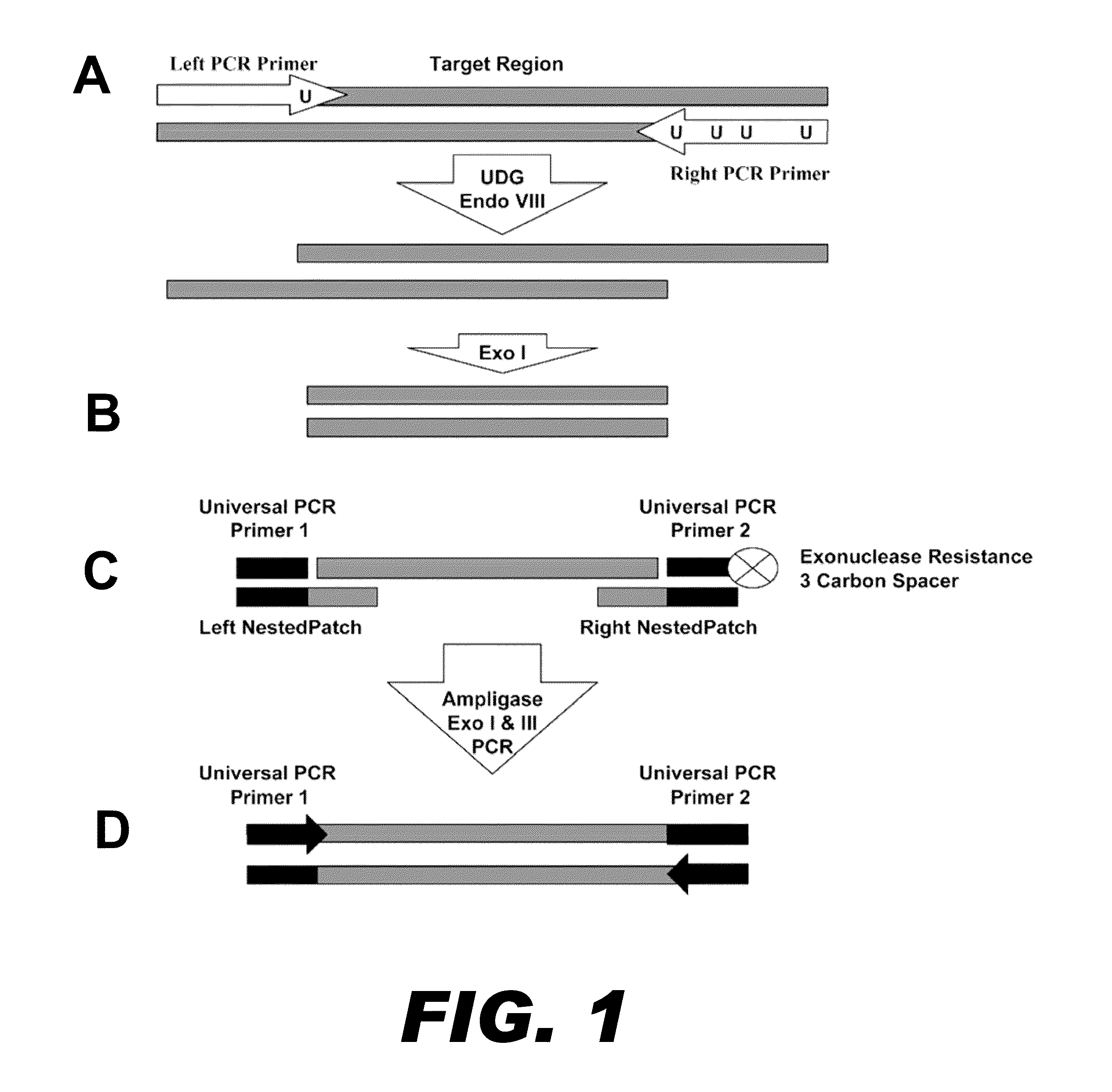 Method for multiplexed nucleic acid patch polymerase chain reaction