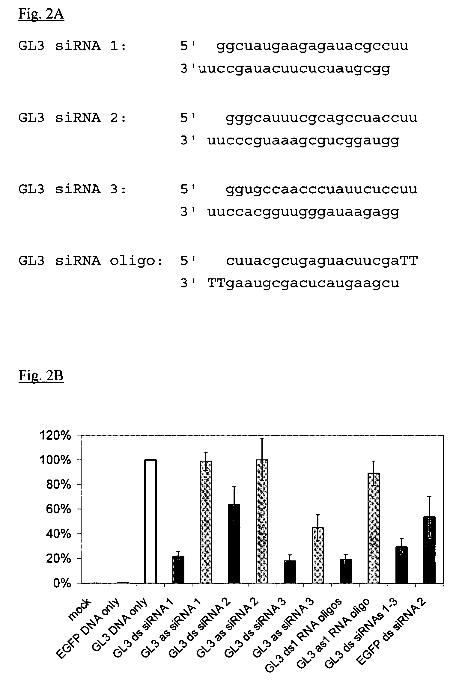 Method for the in vitro synthesis of short double stranded RNAs