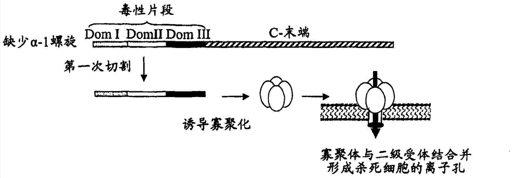 Method for suppressing Bt (Bacillus thuringiensis) CRY toxin resistance of insects by using toxins needing no cadherin receptors