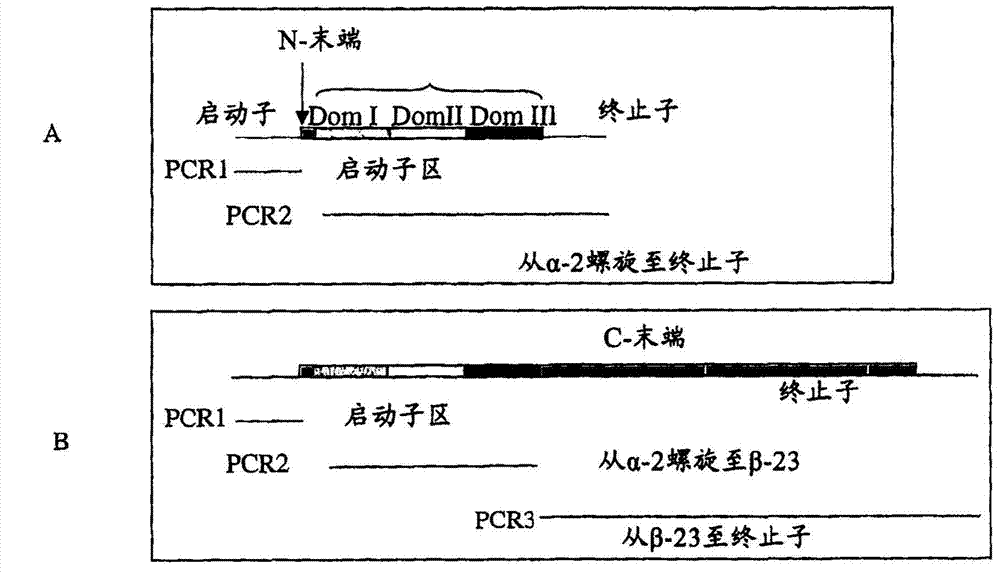 Method for suppressing Bt (Bacillus thuringiensis) CRY toxin resistance of insects by using toxins needing no cadherin receptors