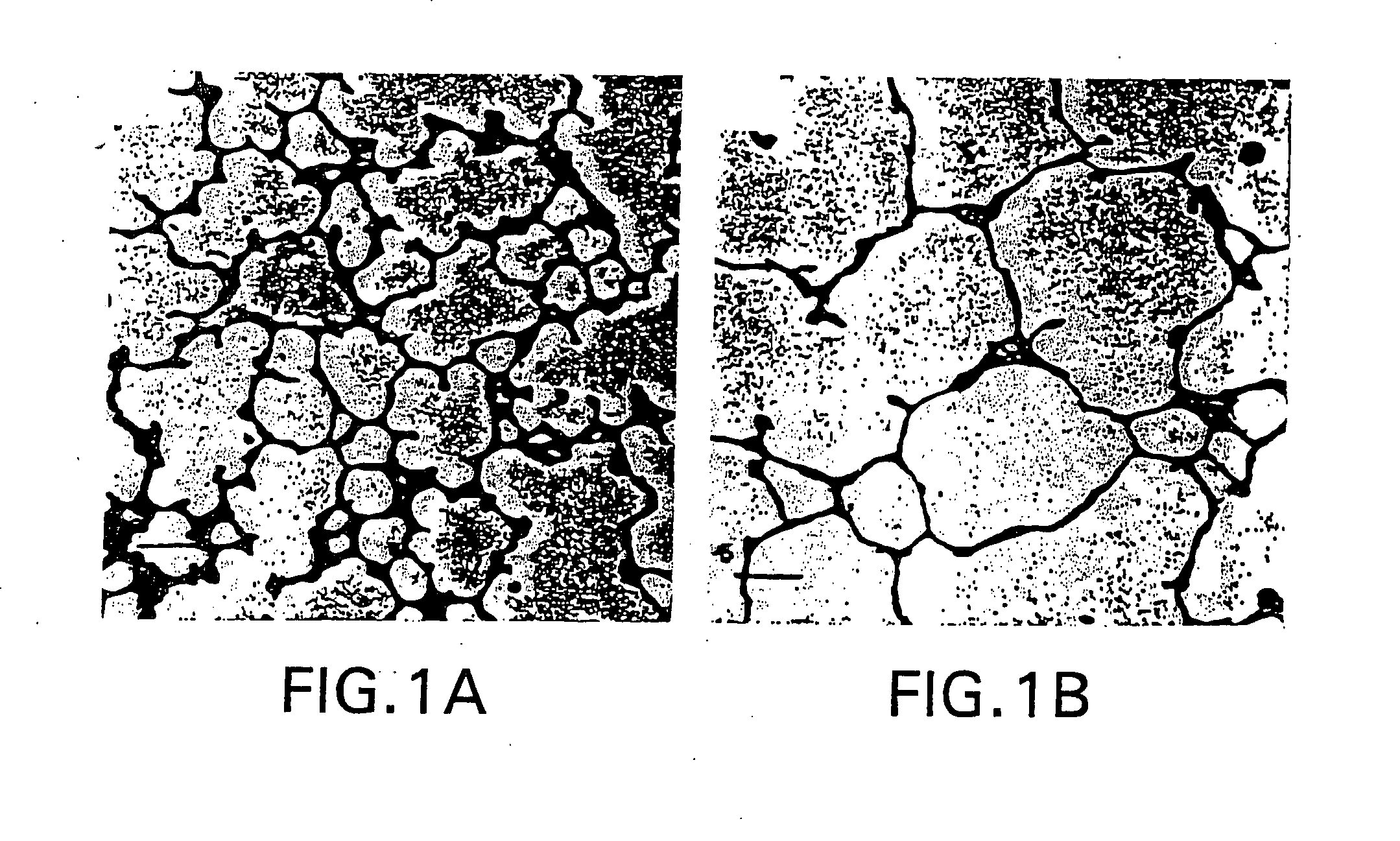 Methods and compositions for the treatment and prevention of lung disease