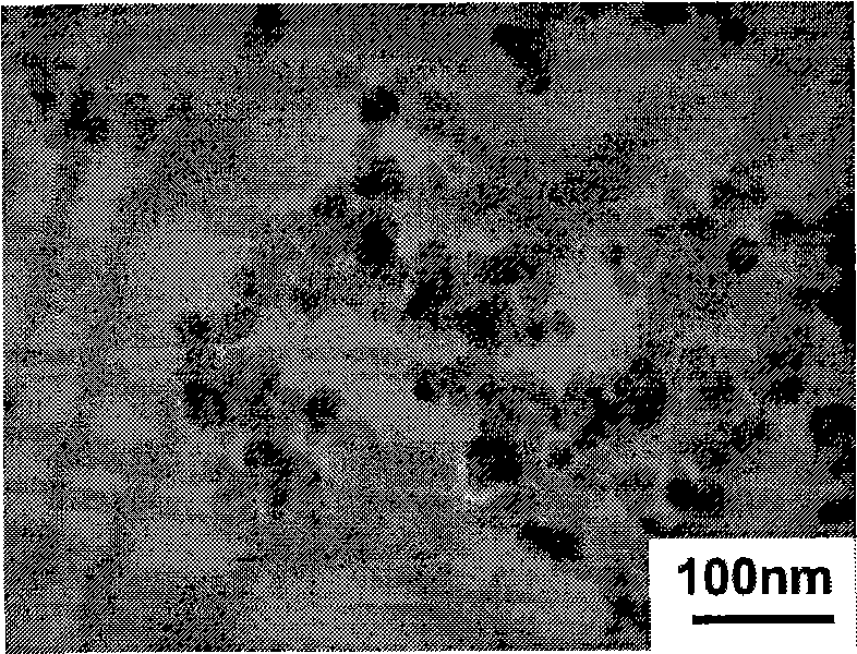 Magnetic spinel structure ferrite nano particle and preparation thereof