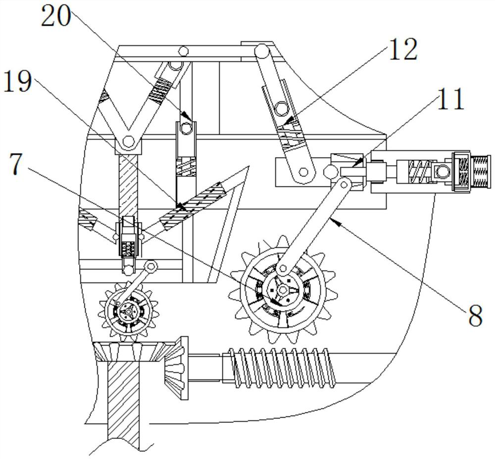 Multi-stage screening device for red kiwifruit classification