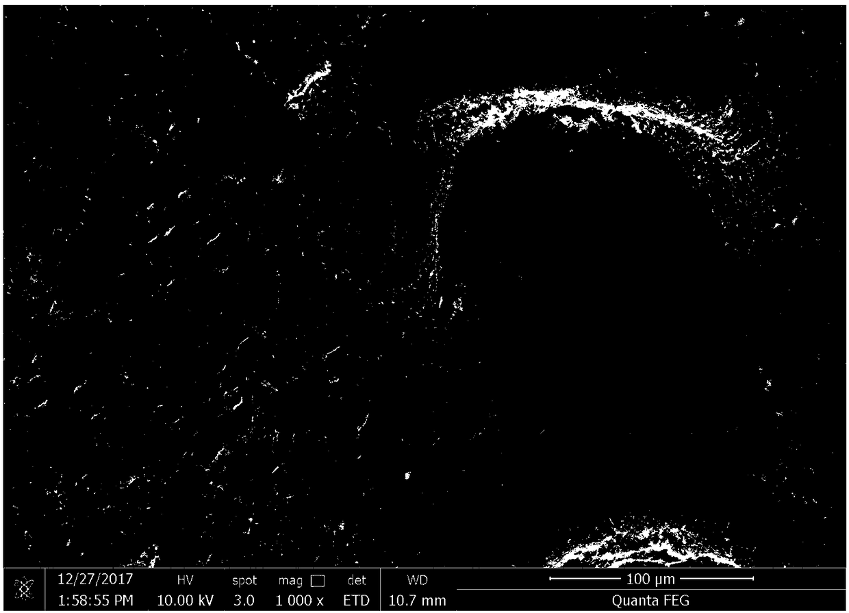 Traditional Chinese medicine silver titanate composite porous material for burn wound healing, preparation method and application