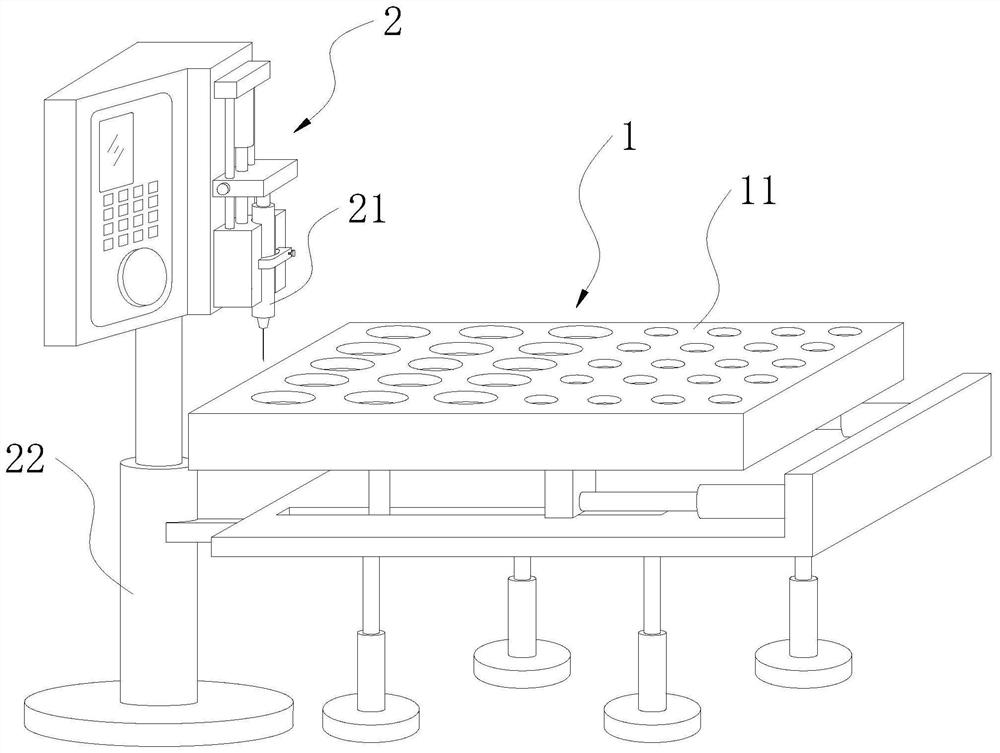 Microinjection system for turtle eggs