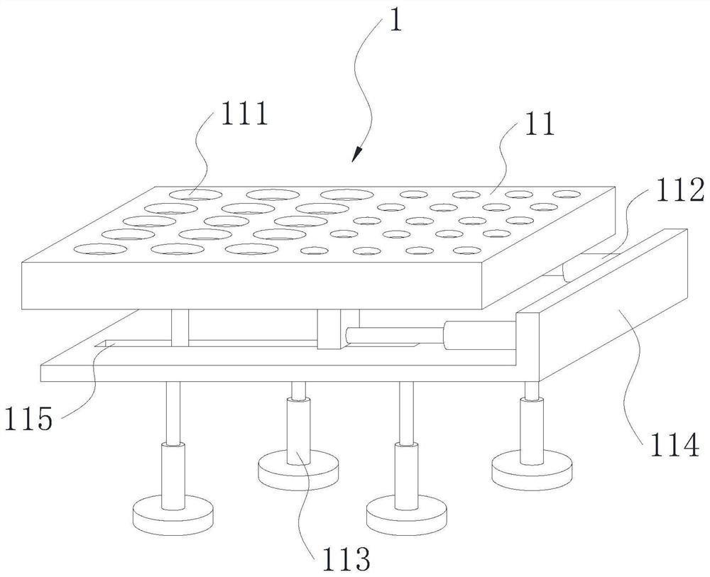 Microinjection system for turtle eggs