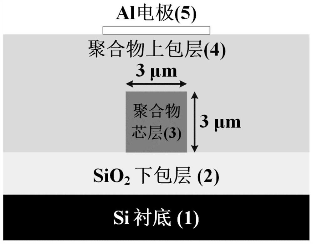 Runway type micro-ring optical switch based on silicon dioxide/polymer mixed waveguide and preparation method of runway type micro-ring optical switch