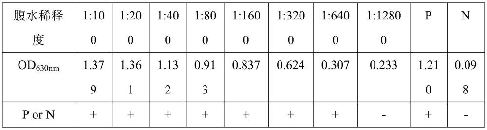 Monoclonal antibody prepared from African swine fever virus truncated protein p54 and application thereof