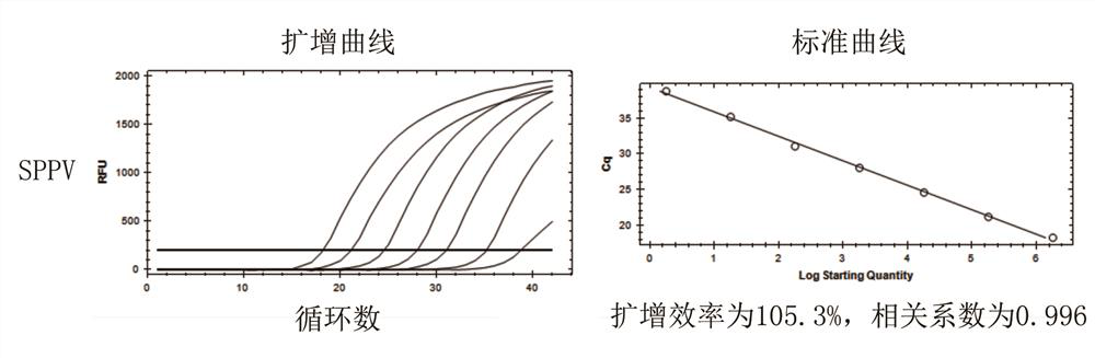 Kit for detecting and identifying capripoxvirus and use method