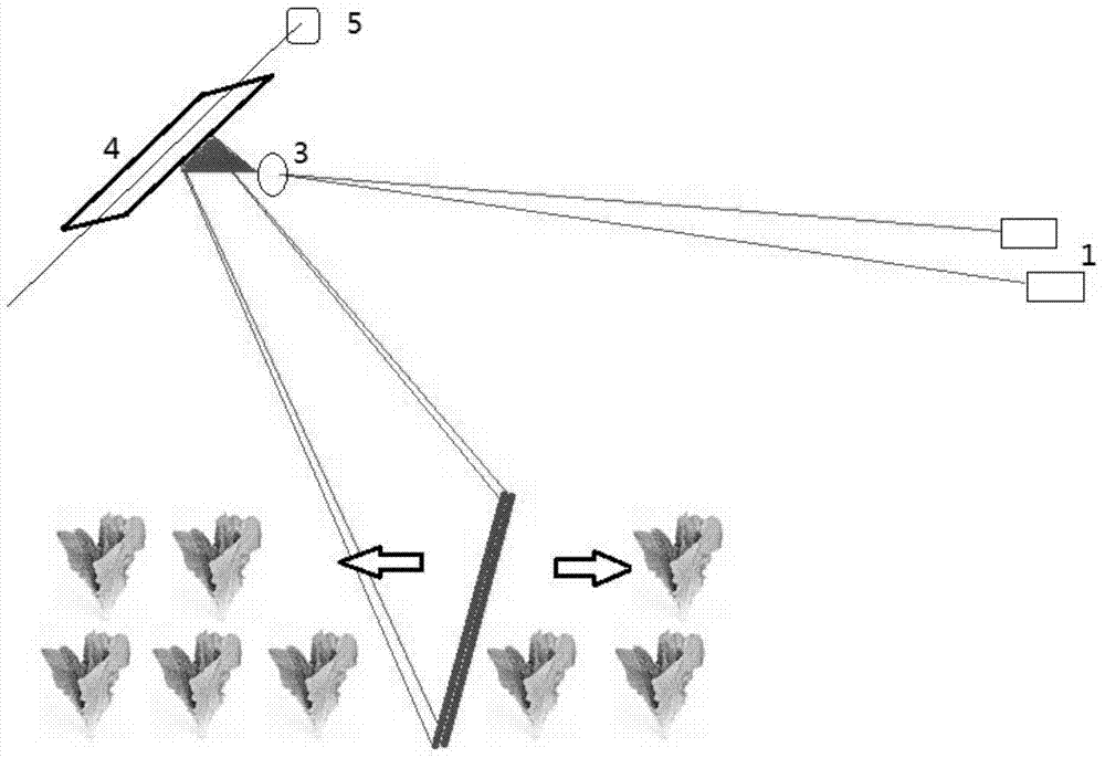 Plant-cultivating method after laser-beam divergence