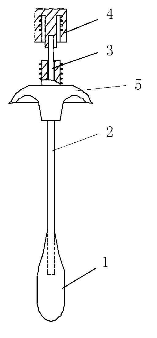 Bone cement filling balloon structure
