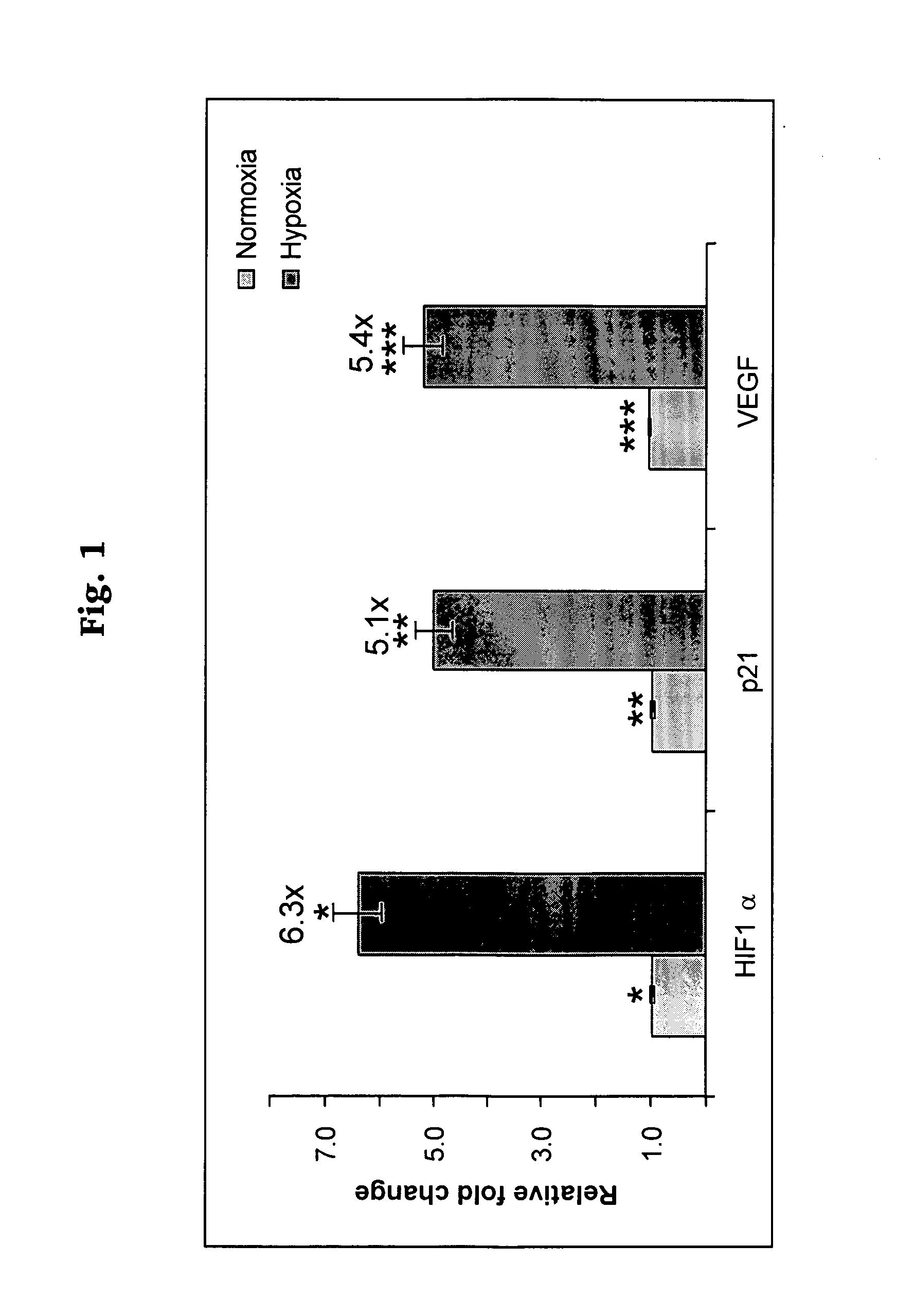 Hypoxia targeted compounds for cancer diagnosis and therapy