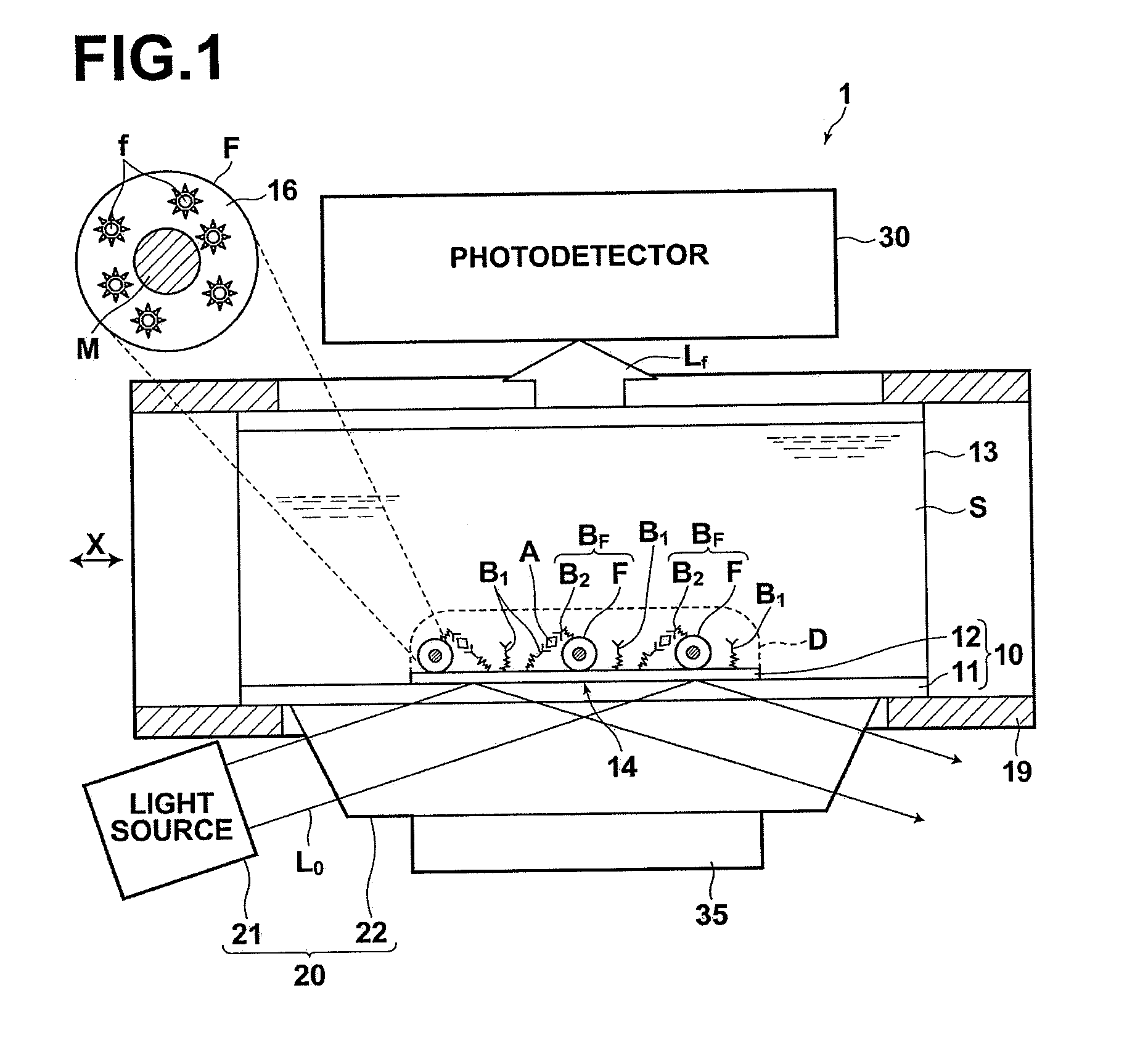 Detection method, detection apparatus, and sample cell and kit for detection