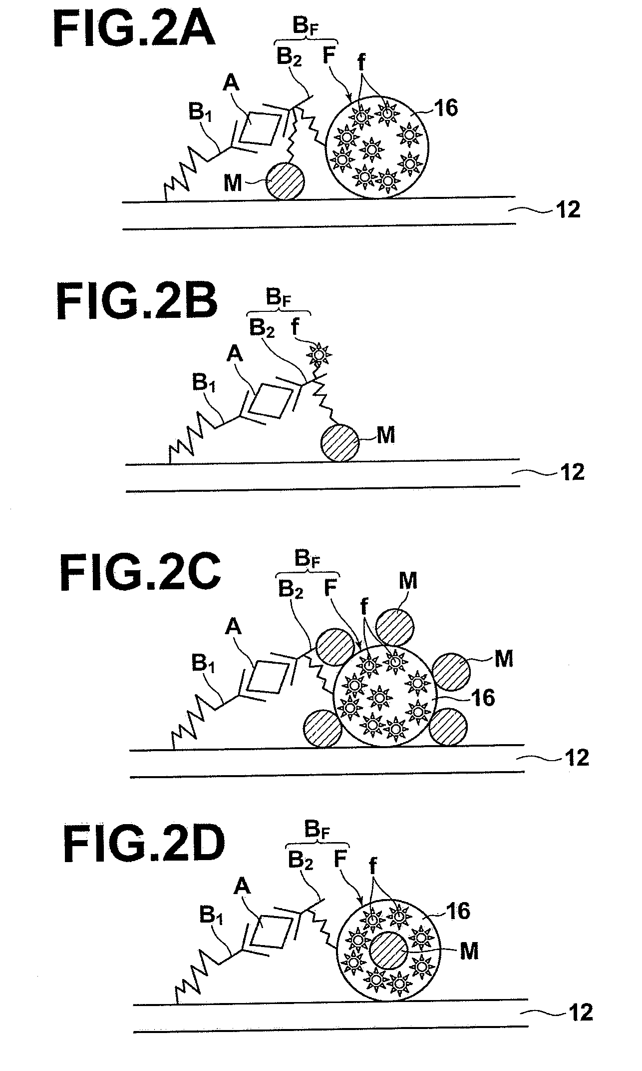 Detection method, detection apparatus, and sample cell and kit for detection