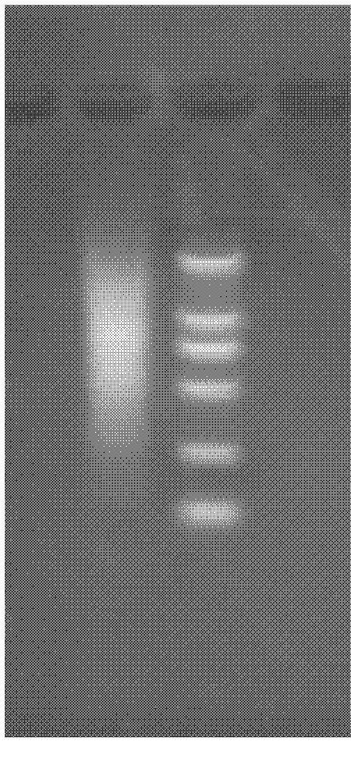 Method for quickly extracting ribonucleic acid (RNA) from ginseng leaf tissues