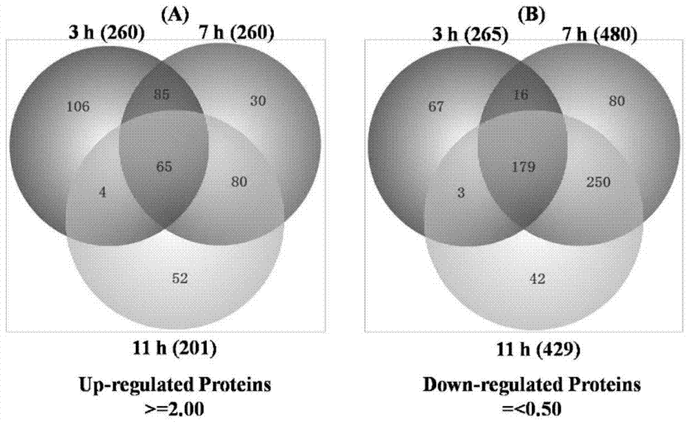 Biological Agents and Methods for Controlling Banana Fusarium Wilt