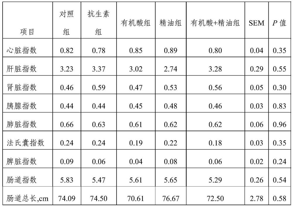 Broiler feed additive and application thereof