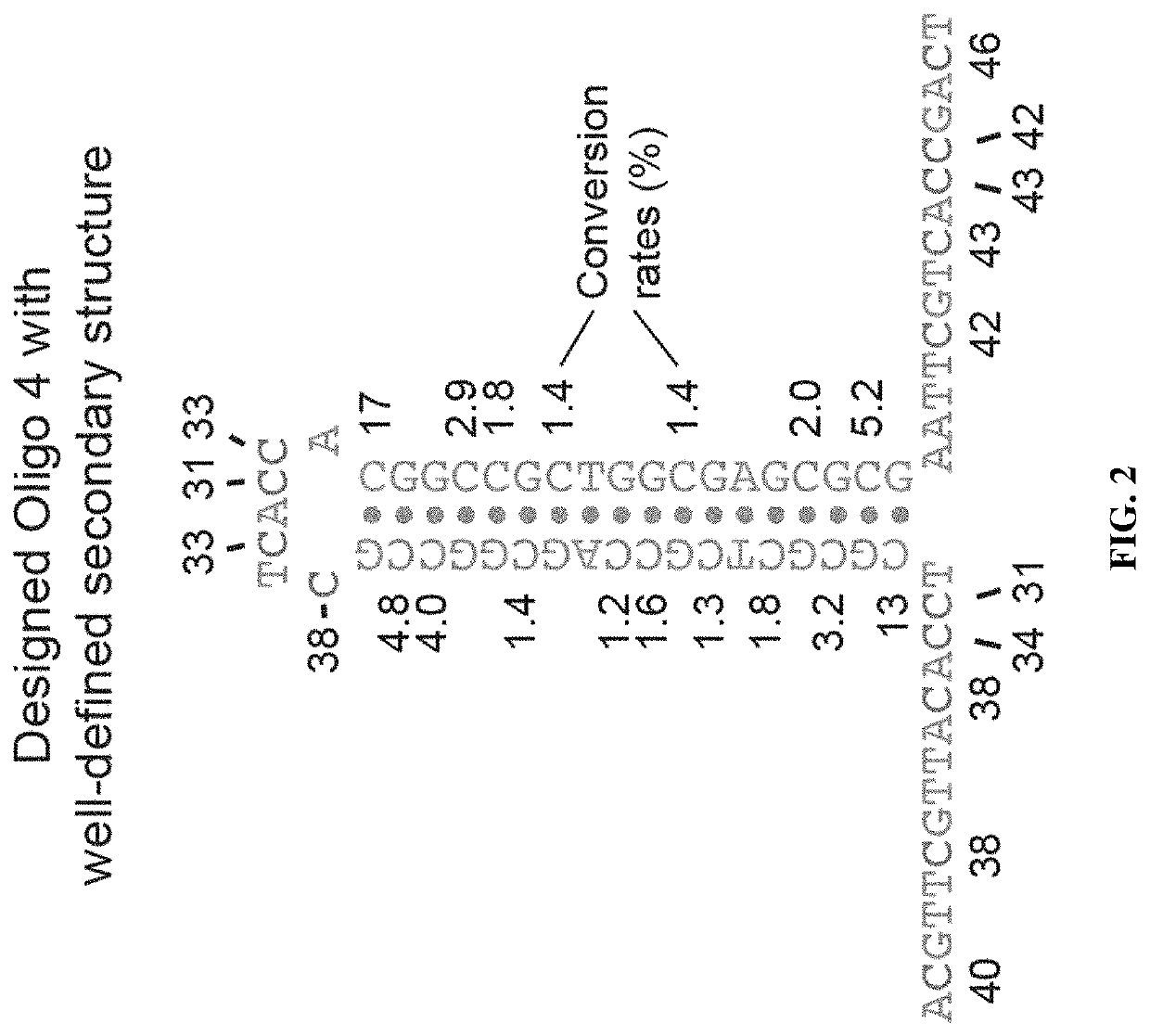 Methods for studying nucleotide accessibility in DNA and RNA based on low-yield bisulfite conversion and next-generation sequencing