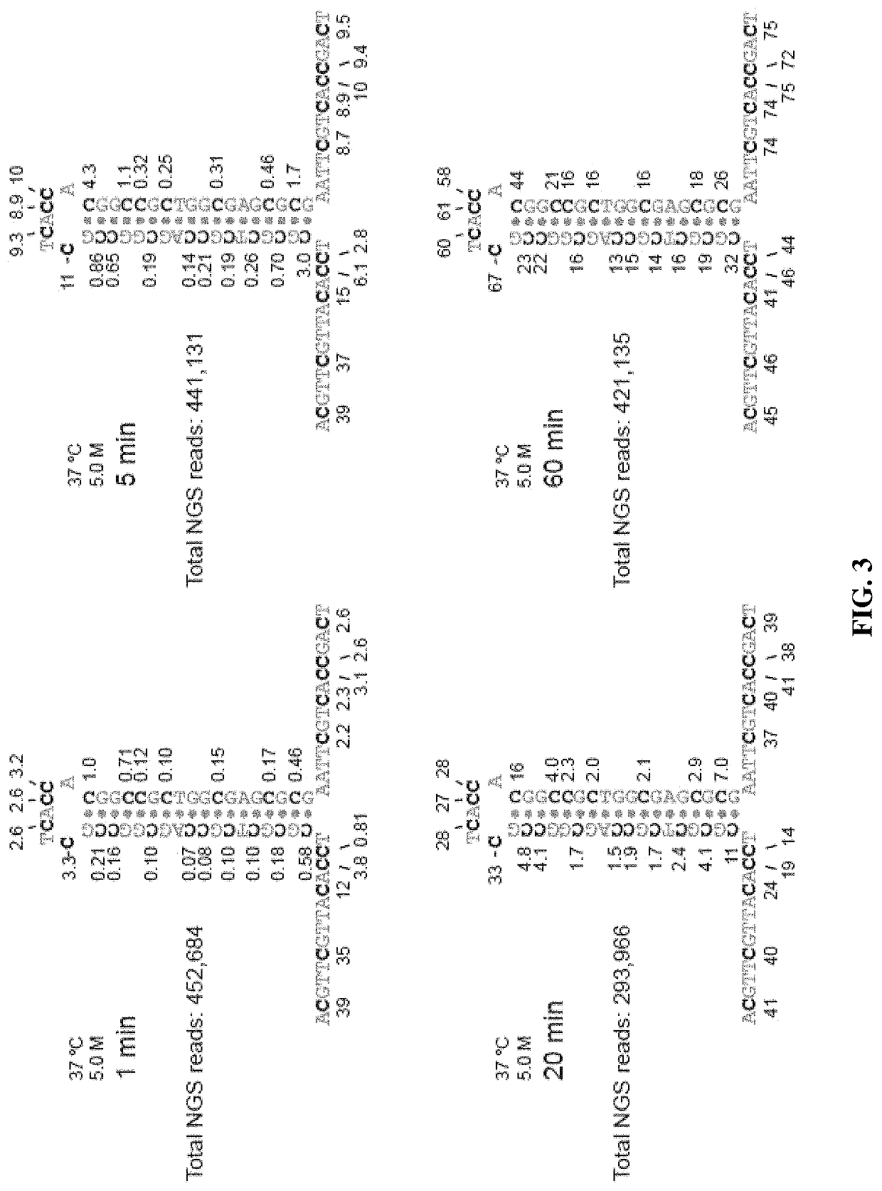Methods for studying nucleotide accessibility in DNA and RNA based on low-yield bisulfite conversion and next-generation sequencing