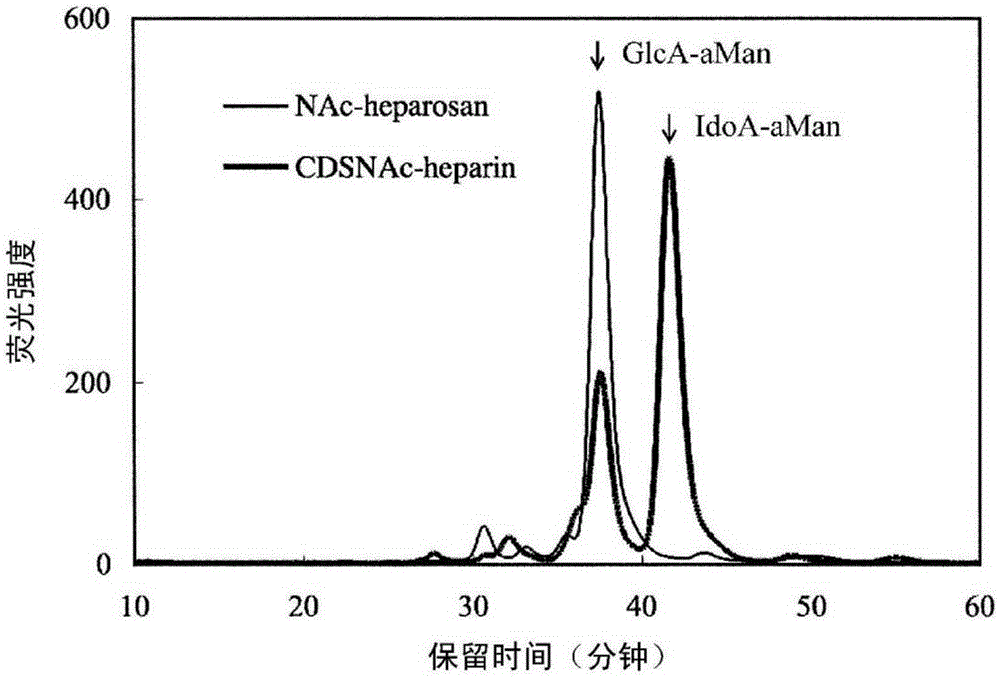 Heparosan-glucuronic acid-5-epimerase, and method for producing polysaccharide using same