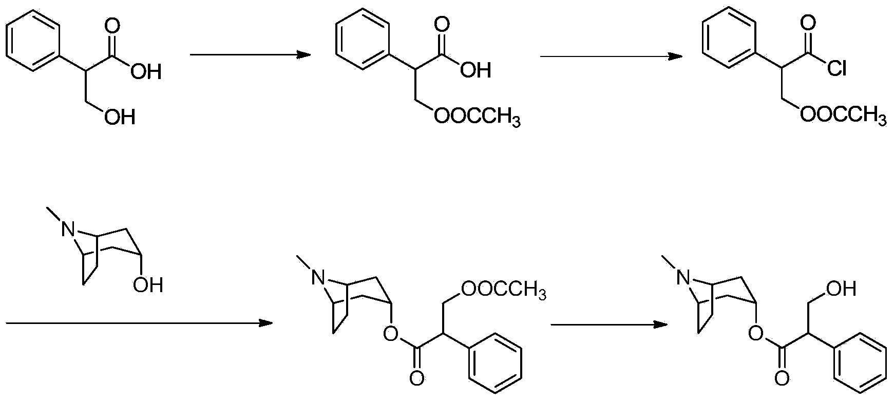 Preparation method of anticholinergic agent atropine sulphate