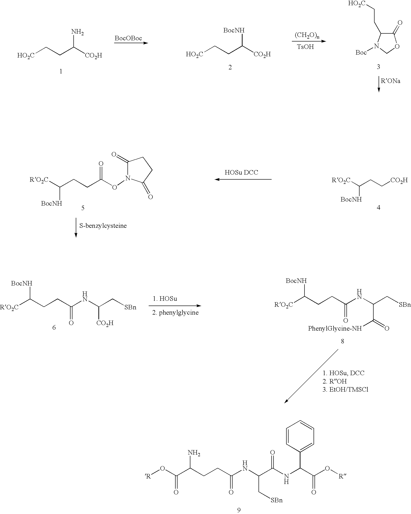 Therapeutic compositions containing glutathione analogs