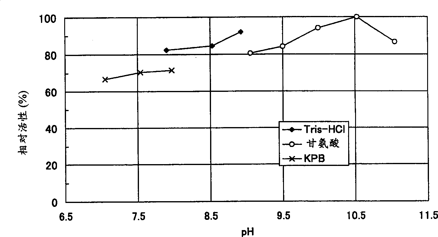 (R)-2-octanol dehydrogenase, process for producing enzyme, DNA encoding enzyme and process for producing alcohol by using same