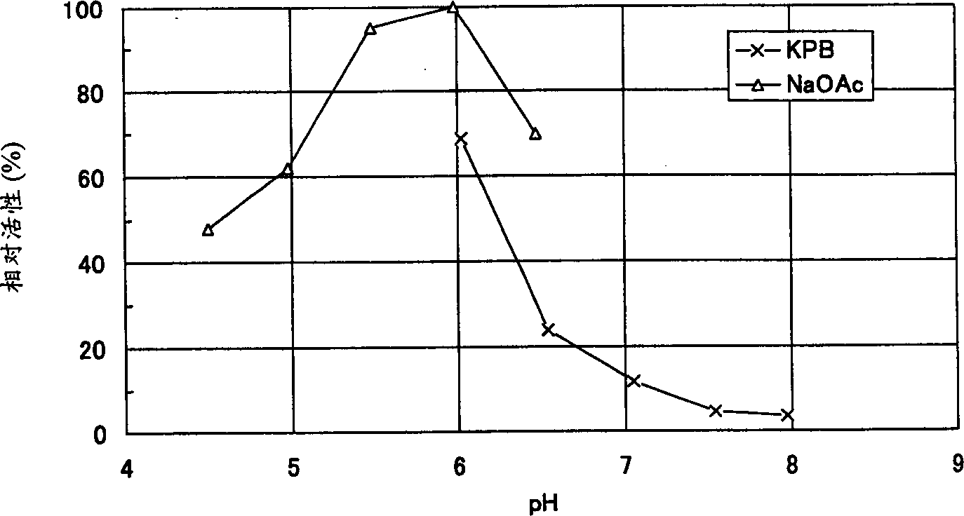 (R)-2-octanol dehydrogenase, process for producing enzyme, DNA encoding enzyme and process for producing alcohol by using same