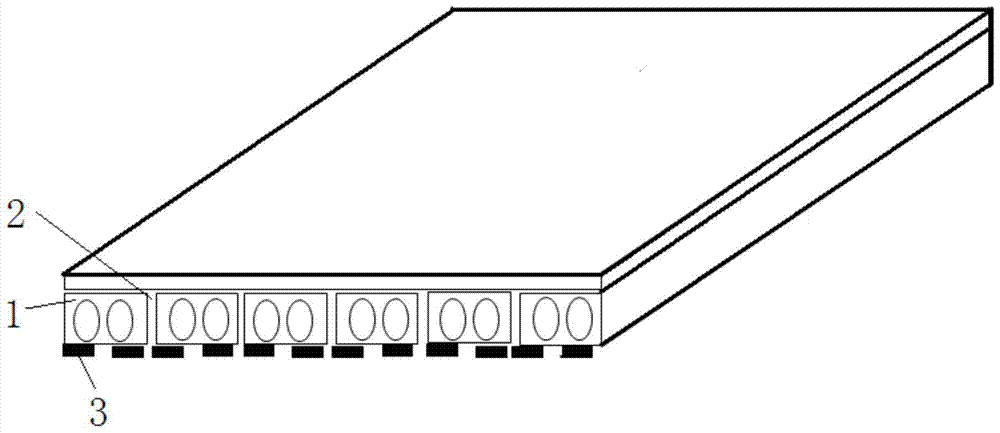 A detection device and detection method for a bridge state