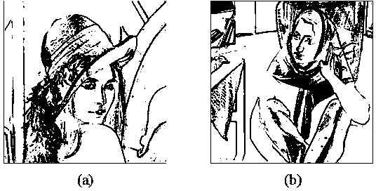 Digital image watermarking method based on local index torque characteristic