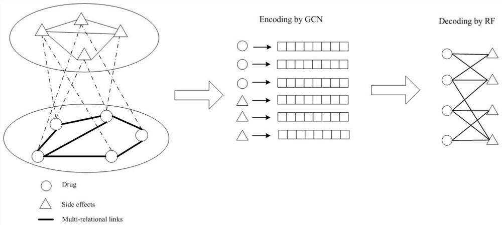 Method for predicting drug-side effect relationship based on graph neural network