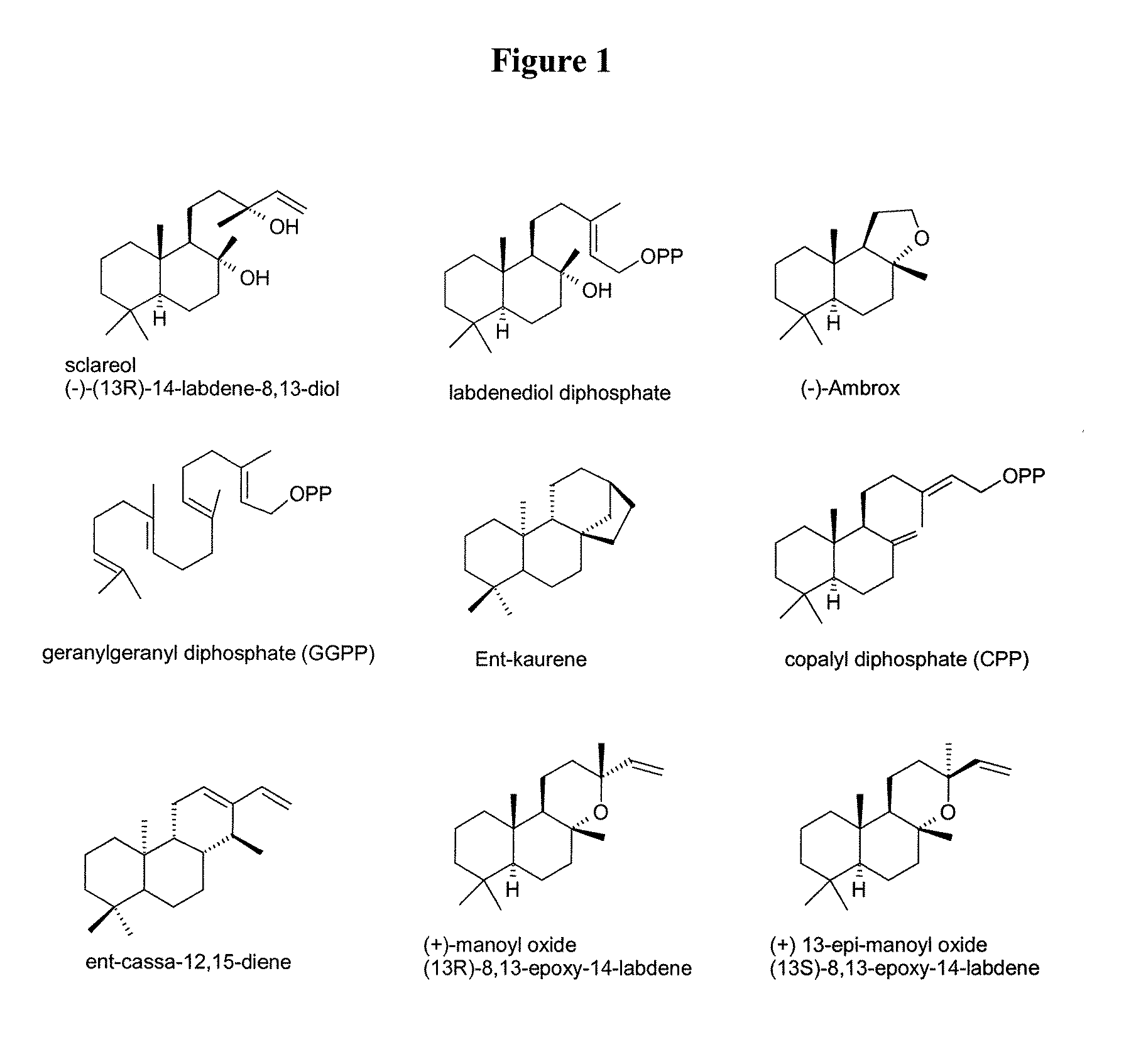 Method for producing sclareol
