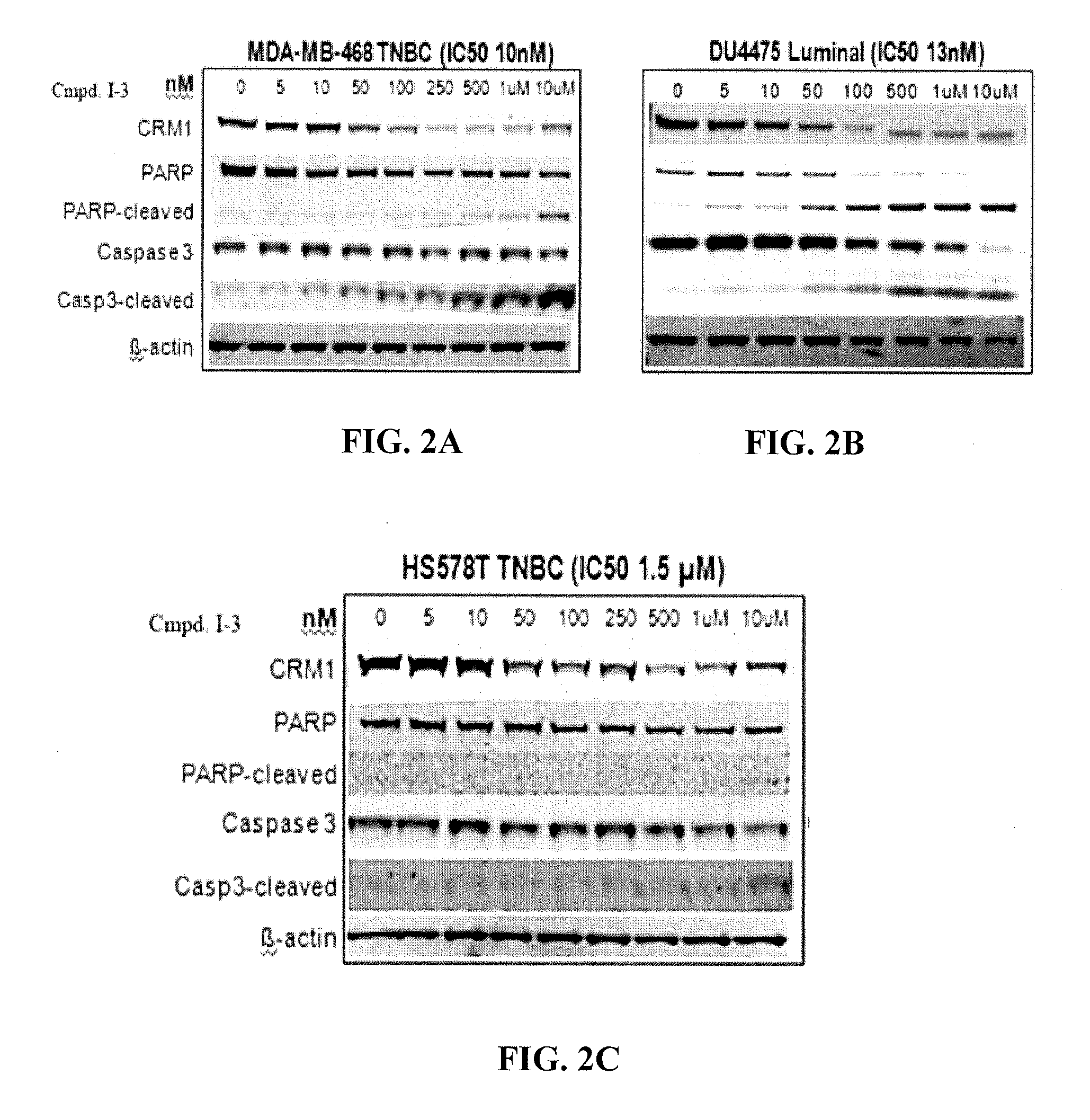 Hydrazide Containing Nuclear Transport Modulators And Uses Thereof
