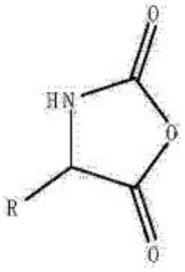 Method for measuring chloride ions in amino acid-N-formic anhydride