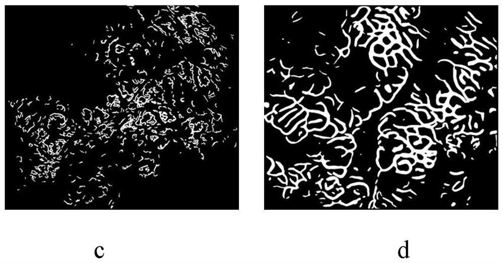 Image processing method and device, computer equipment and storage medium