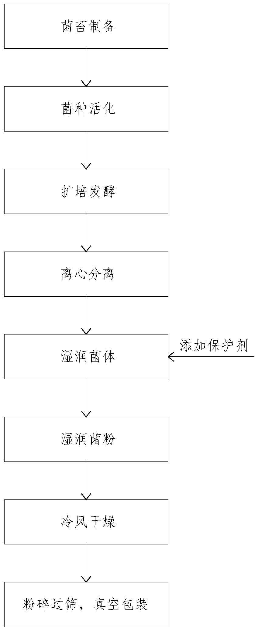 Preparation method of solid bacterial agent for hemp bio-degumming