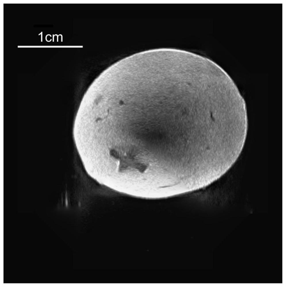 Three-dimensional panoramic tomography ultrasonic device