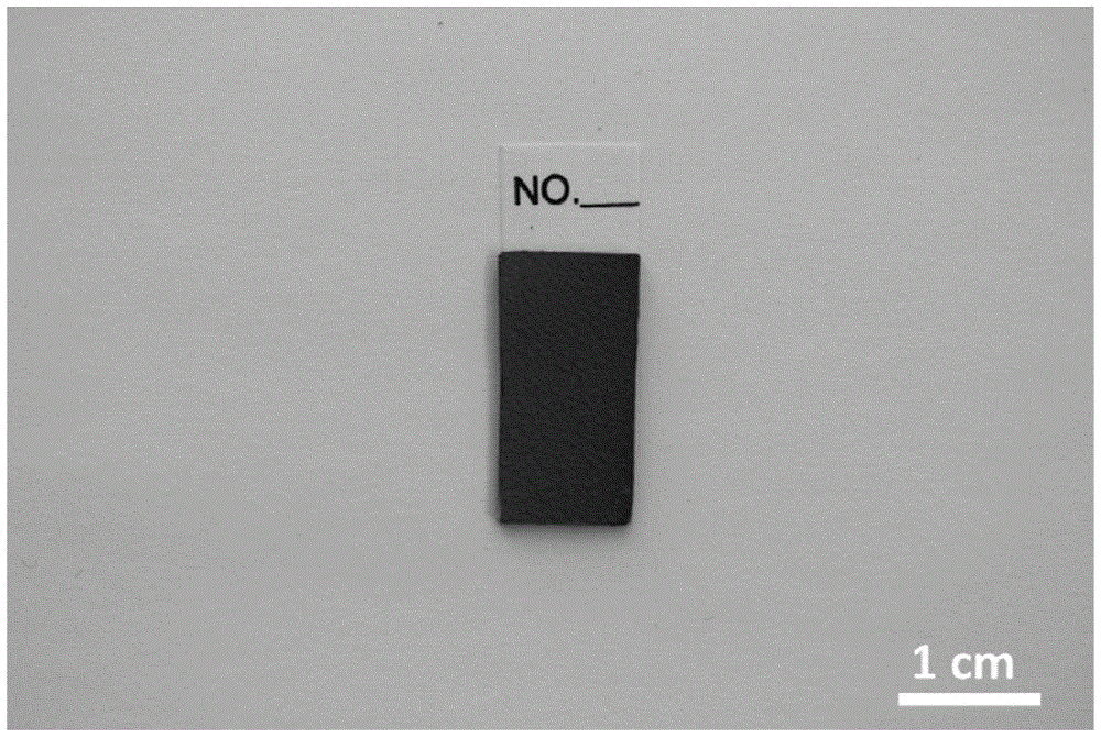 A graphene chip for capturing cancer cells in whole blood and its preparation method