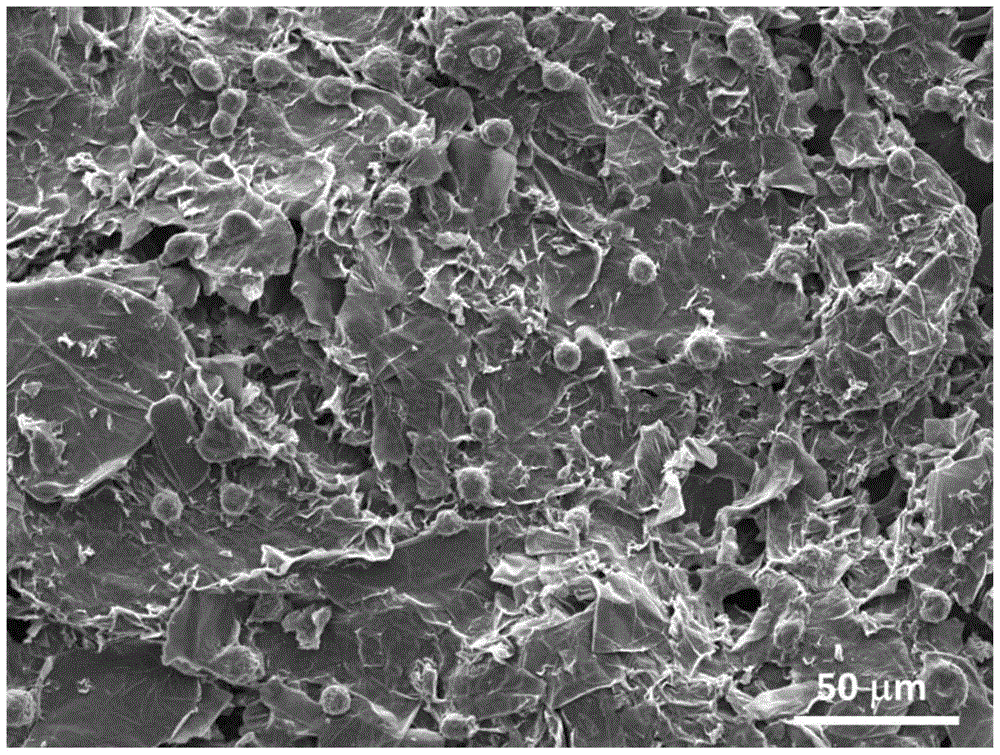 A graphene chip for capturing cancer cells in whole blood and its preparation method