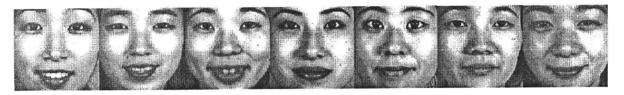 Facial expression recognizing method based on Gabor transform optimal channel blur fusion