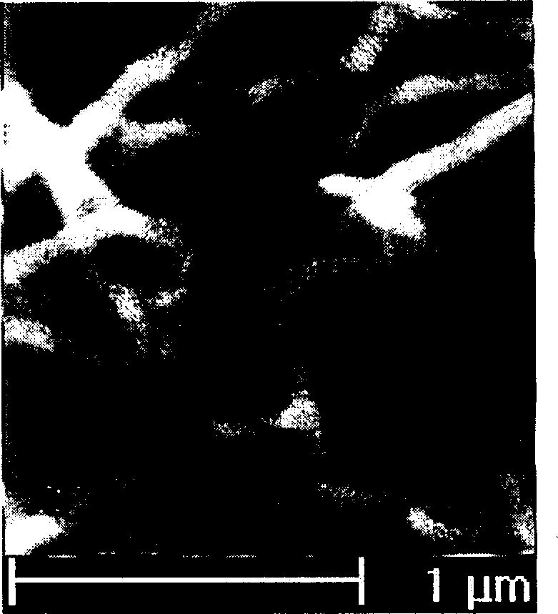 Method for directly forming polypyrrole nano line on electrode surface